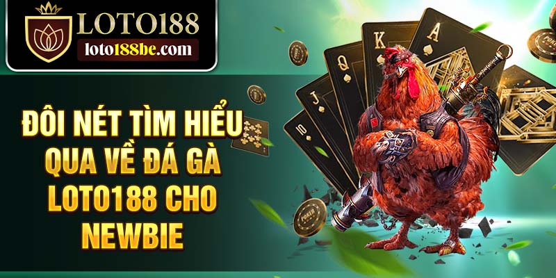 Đôi nét tìm hiểu qua về đá gà Loto188 cho newbie Đôi nét tìm hiểu qua về đá gà Loto188 cho newbie