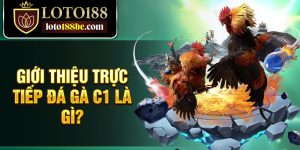 Giới thiệu trực tiếp đá gà c1 là gì?