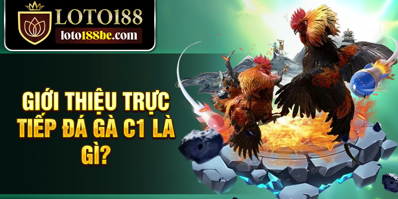 Giới thiệu trực tiếp đá gà c1 là gì? Giới thiệu trực tiếp đá gà c1 là gì?