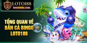 Tổng quan về bắn cá bingo Loto188