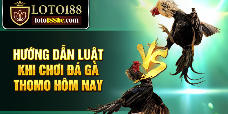 Hướng dẫn luật khi chơi đá gà Thomo hôm nay Hướng dẫn luật khi chơi đá gà Thomo hôm nay