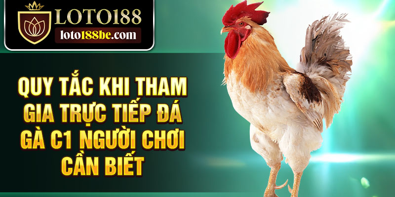 Quy tắc khi tham gia trực tiếp đá gà c1 người chơi cần biết Quy tắc khi tham gia trực tiếp đá gà c1 người chơi cần biết