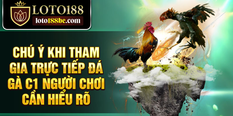 Chú ý khi tham gia trực tiếp đá gà c1 người chơi cần hiểu rõ Chú ý khi tham gia trực tiếp đá gà c1 người chơi cần hiểu rõ