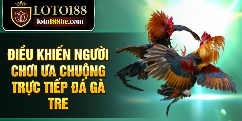 Điều khiến người chơi ưa chuộng trực tiếp đá gà tre Điều khiến người chơi ưa chuộng trực tiếp đá gà tre