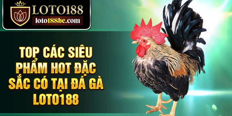 Top các siêu phẩm hot đặc sắc có tại đá gà Loto188 Top các siêu phẩm hot đặc sắc có tại đá gà Loto188